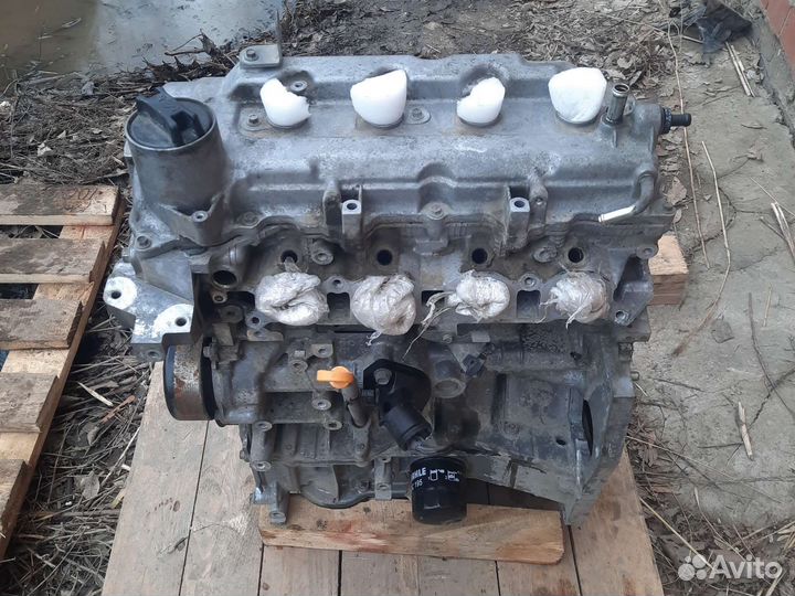 Двигатель Nissan Tiida hr16