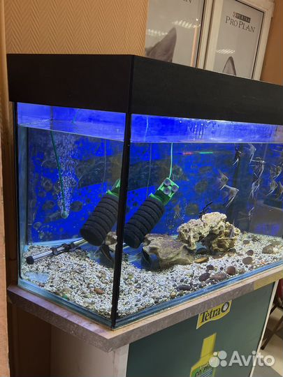 Аквариум с тумбой 220 литров