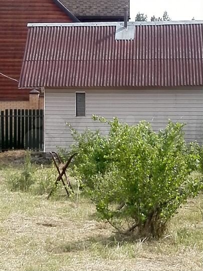 Дача 97 м² на участке 15 сот.