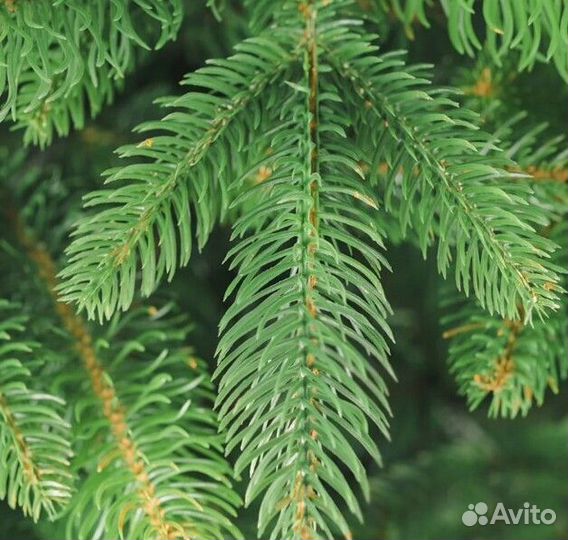 Елка искусственная новогодняя + гирлянда