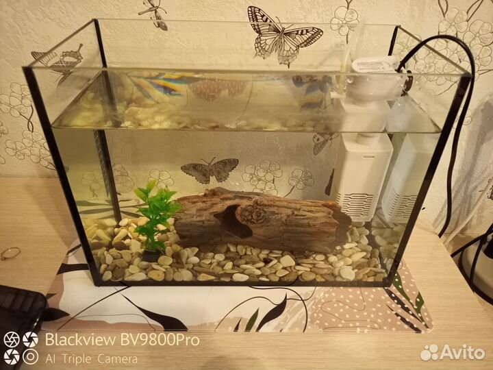 Аквариум