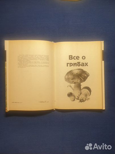 Книга Все о грибах справочник