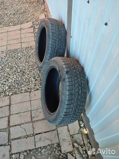 Tigar Winter 1 215/55 R17