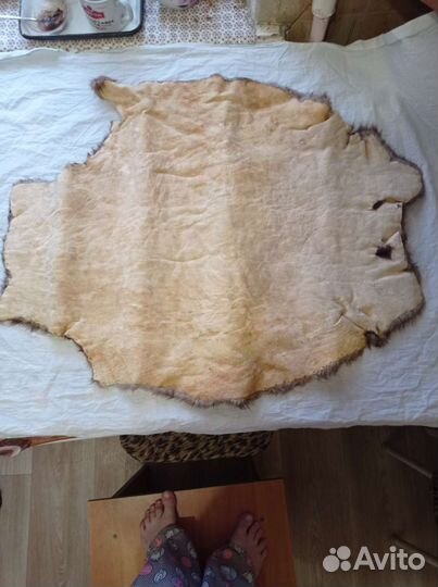 Шкурка норки