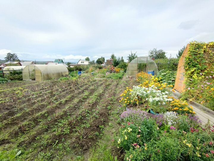 Дом 48 м² на участке 8 сот.