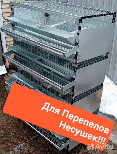 Клетка для перепелов несушек 1-4