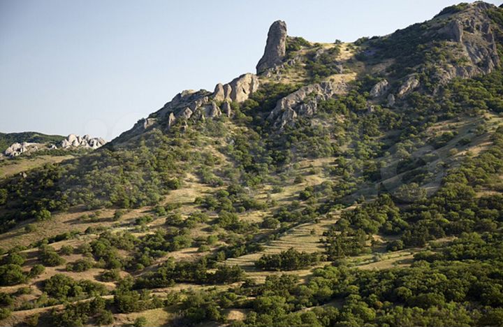 Участок 16 сот. (ИЖС)