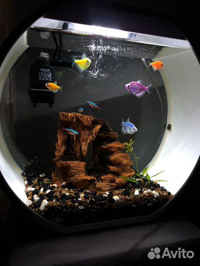 Аквариум