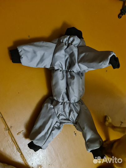 Одежда для собак мелких пород