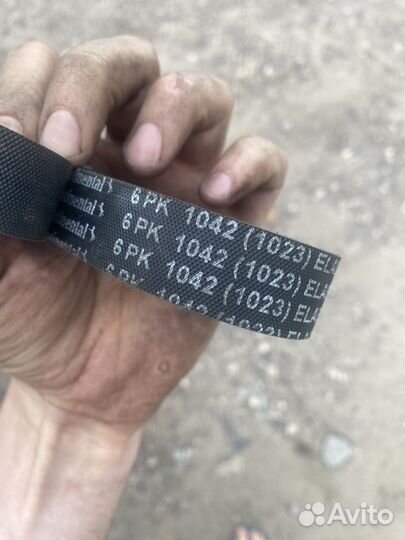 Ремень генератора ford focus 2 рестайлинг