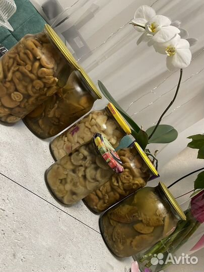 Грибы маринованные