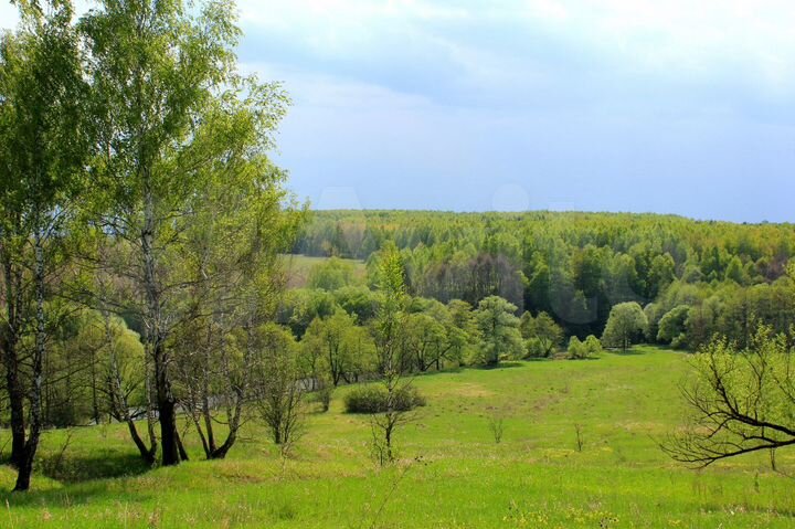 Участок 16,2 га (промназначения)