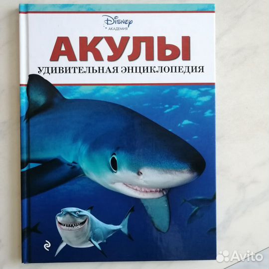 Энциклопедия про Акул