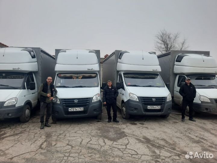 Водитель на газель next