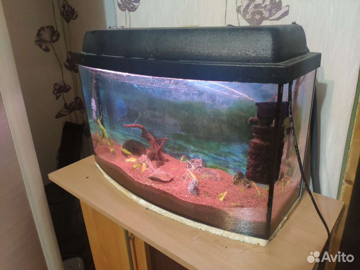 Аквариум на 50 литров