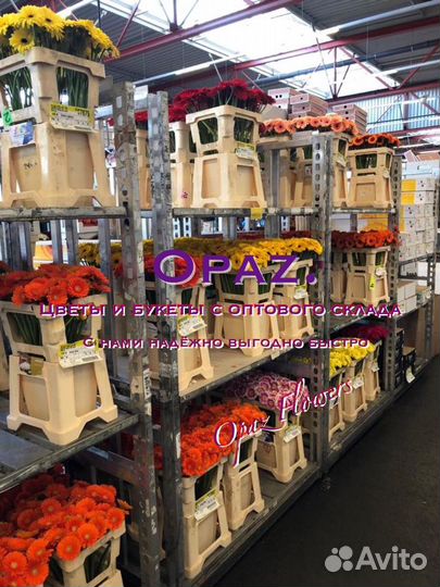 101 роза 70см Цветы Букеты Доставка