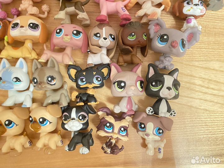 Lps лпс корги такса дог littlest pet shop