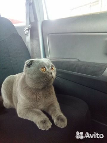 Вязка