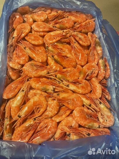 Креветка (Магадан)