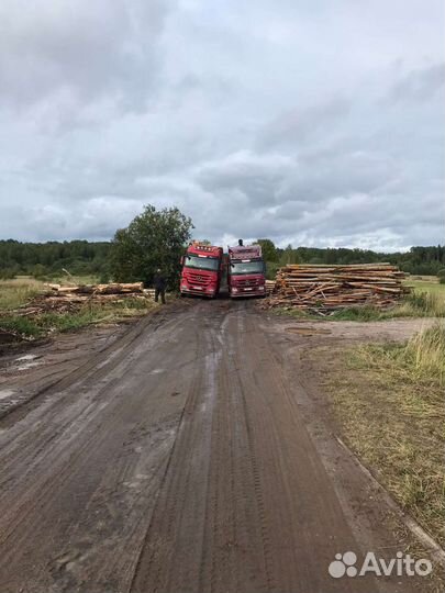 Услуги Аренда Лесовоза-Сортиментовоза с гмп