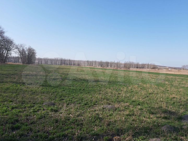 Участок 2,3 га (СНТ, ДНП)