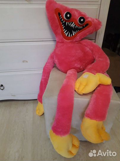 Целый метр киси миси