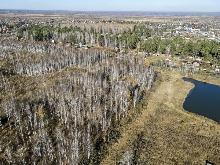 Участок 10 сот. (СНТ, ДНП)