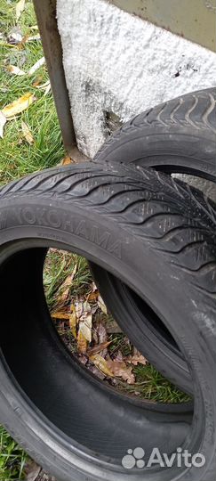 Diplomat MS 205/55 R16