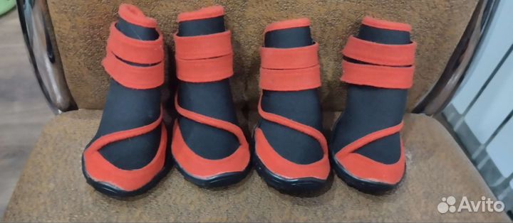 Обувь для собак