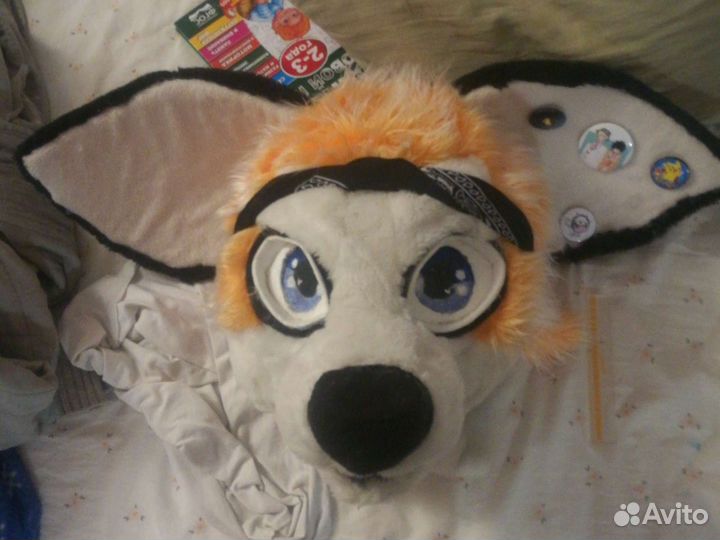 Фурсьют лисы