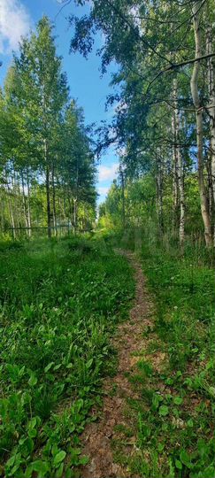 Участок 6 сот. (СНТ, ДНП)