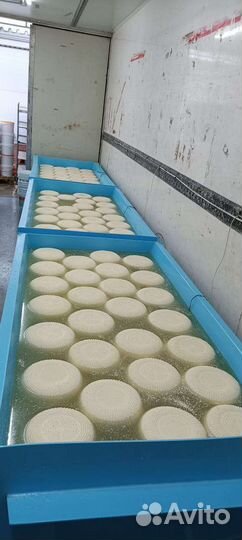 Охладитель молока