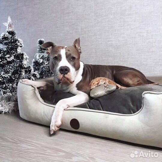 Лежанки для животных