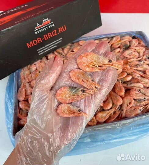 Креветка 250+