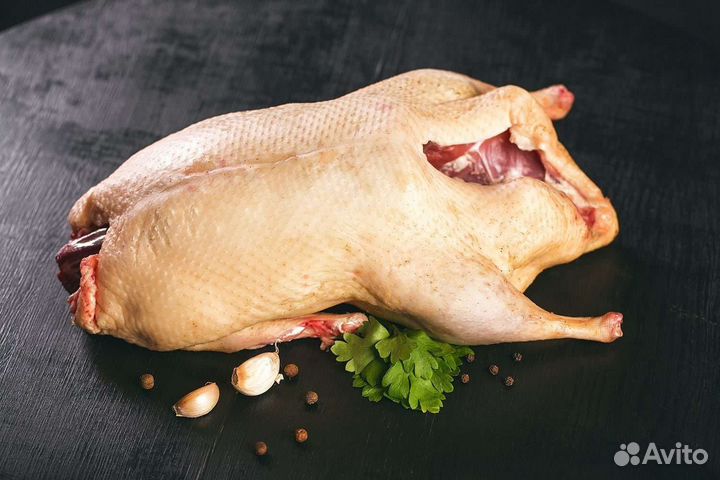 Бройлер Утка