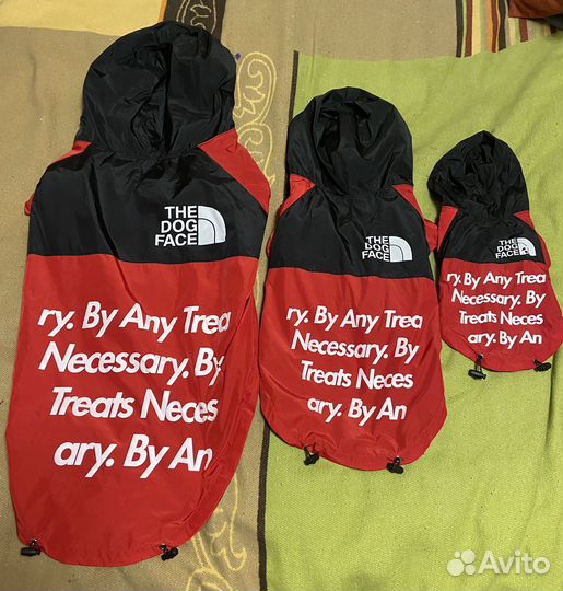 Одежда для собак и кошек