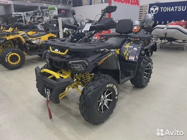 Квадроцикл Motoland Wild Track X 200 бал. вал