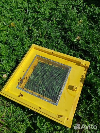Продам ульи для пчел ппу