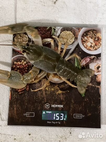 Живые и вареные раки