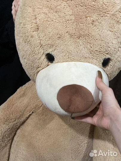 Плюшевый медведь