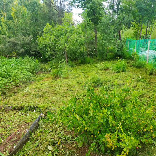 Участок 7,4 сот. (СНТ, ДНП)