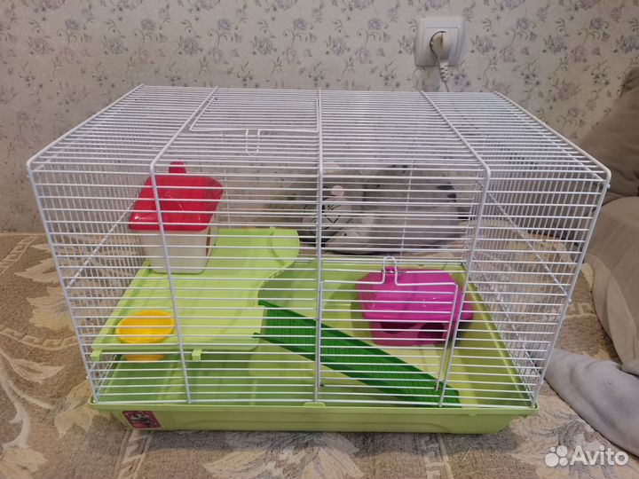 Клетка для грызунов