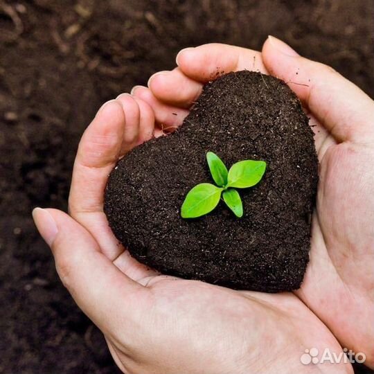 Конский перегной и навоз с доставкой