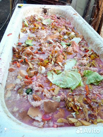 Мясо, свинина домашняя. Село Красное