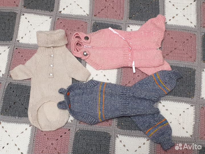 Одежда для собаки