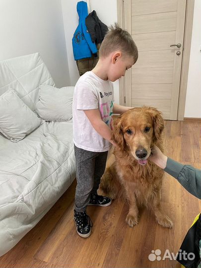 Детский психолог