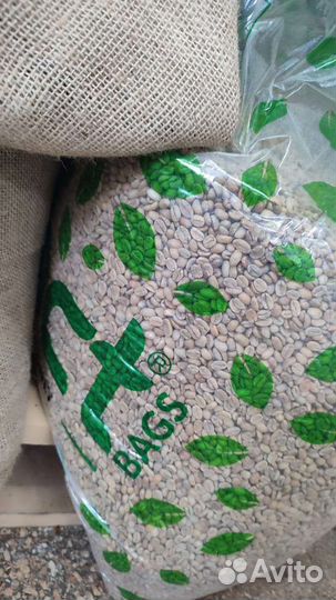 Кофе в зернах