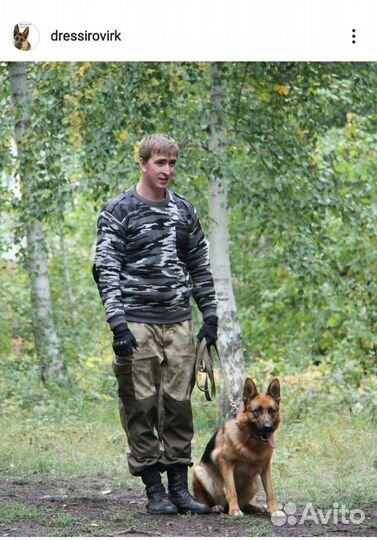 Дрессировка собак -опытный кинолог