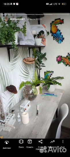 Подготовка к ОГЭ и ЕГЭ по биологии и ОГЭ по химии