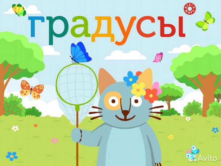 Заместитель директора / Старший продавец